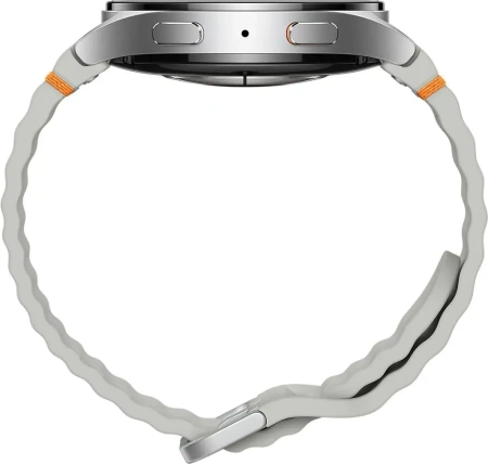 Умные часы Samsung Galaxy Watch7 44мм Wi-Fi (Silver)